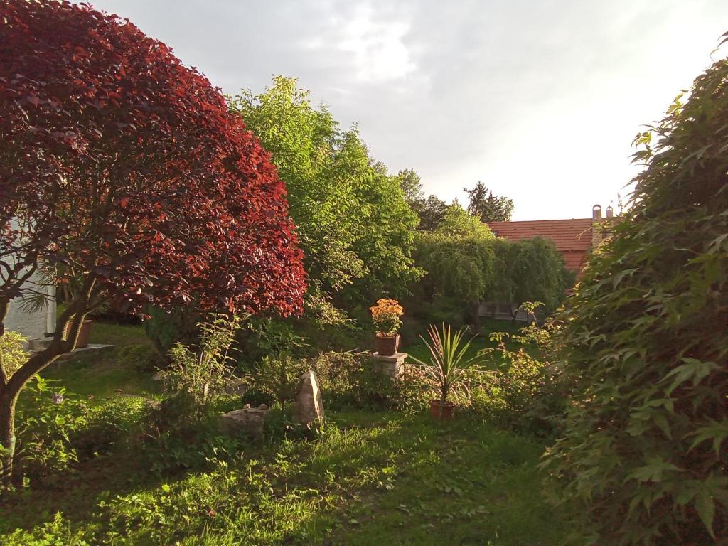 Pension Baron Schoeneck - 18