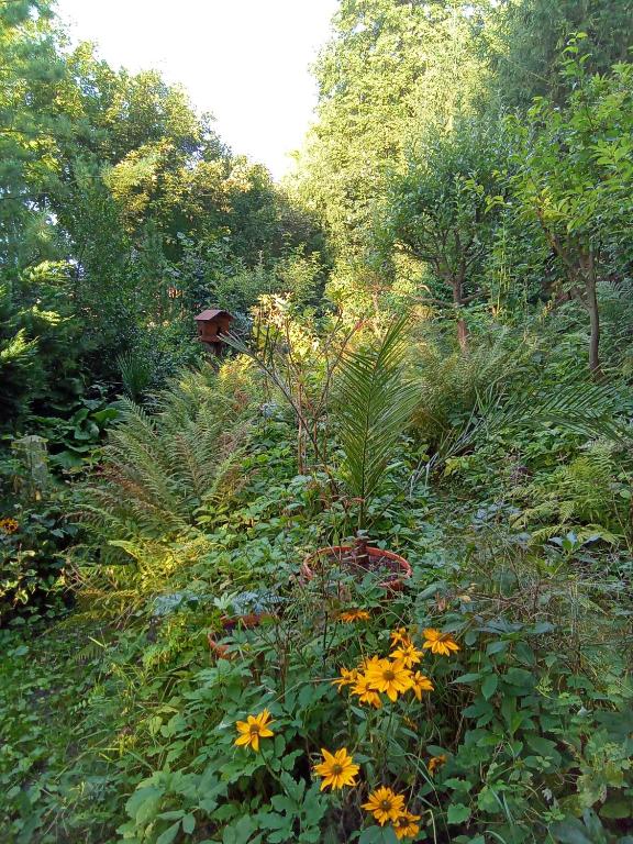 Pension Baron Schoeneck - 17