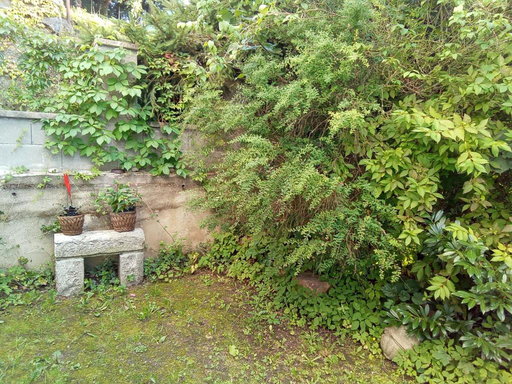 Pension Baron Schoeneck - 16