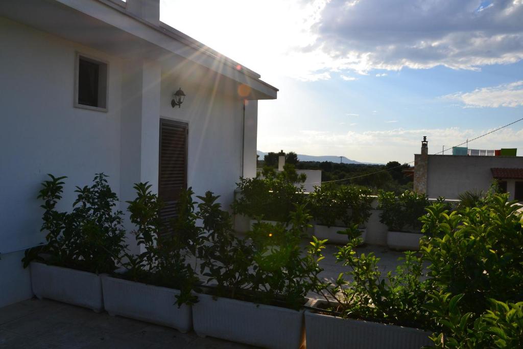Budova, kde se bed and breakfast nachází