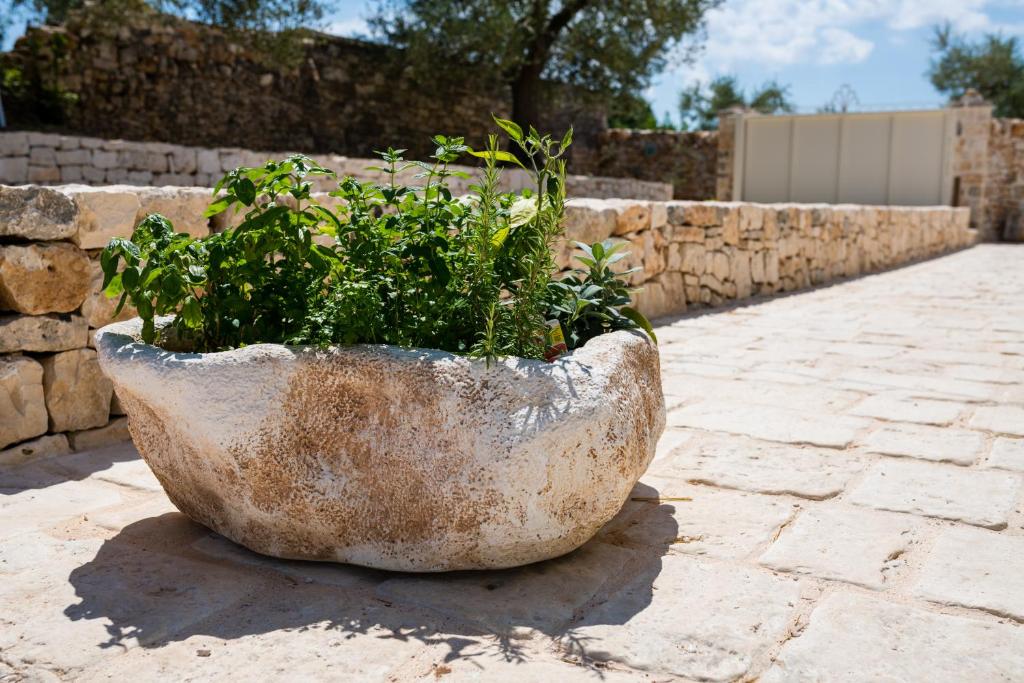 Zdjęcie z galerii obiektu Il Trullo della Rondinina w Alberobello