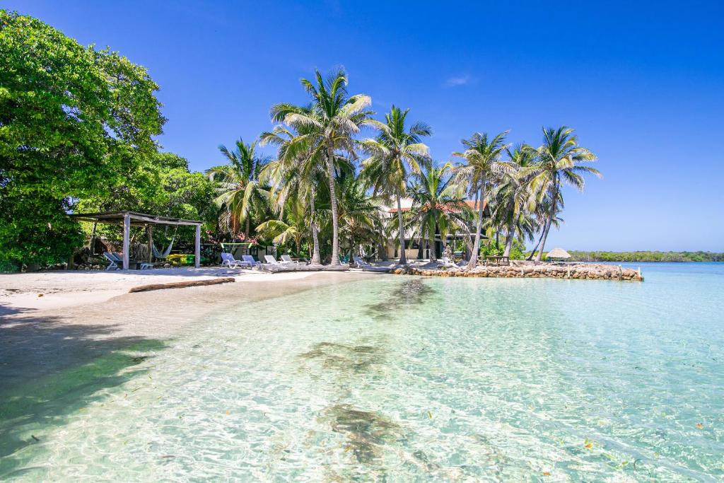 einen Strand mit Palmen und klarem Wasser in der Unterkunft Sal Si Puedes in Tintipan Island