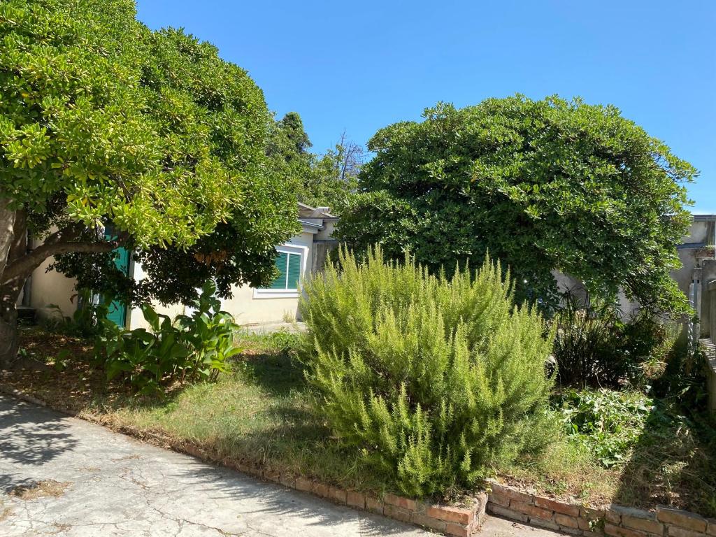 Zahrada ubytování Ferienwohnung Zadar-City