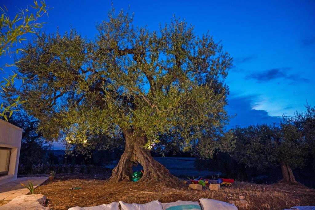 Ogród w obiekcie Il Trullo della Rondinina