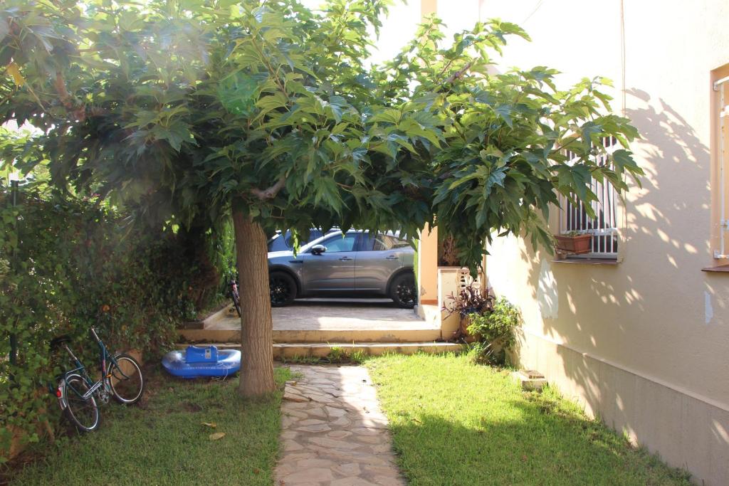 Vonkajšia záhrada v ubytovaní Apartament del Mar