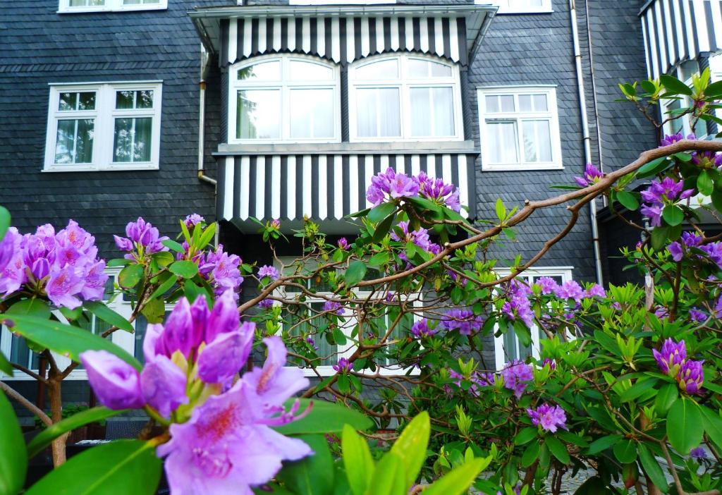 Zahrada ubytování Hotel Schieferhof - GlasLUST