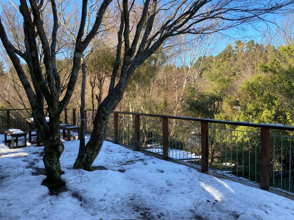 23 Scarborough Tce - Resim 22