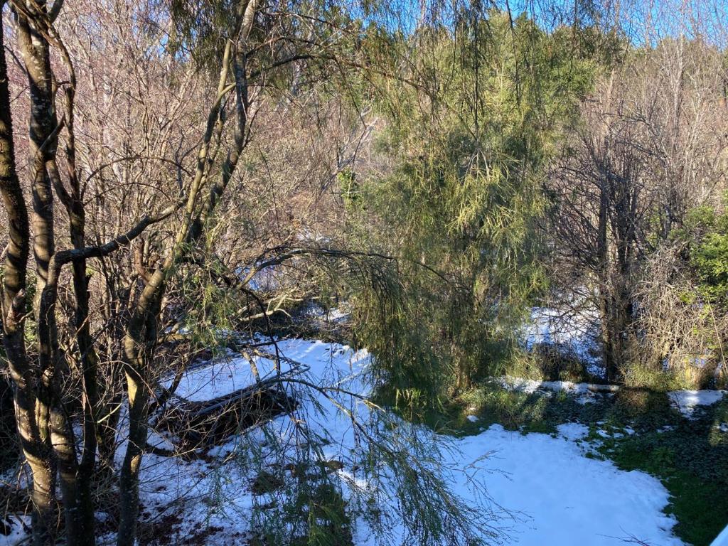 23 Scarborough Tce - Resim 23