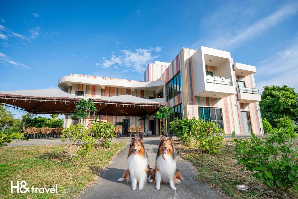 tres perros parados frente a un edificio en H& 彩虹莊園會館 l 寵物友善 l 停車場, en Taitung