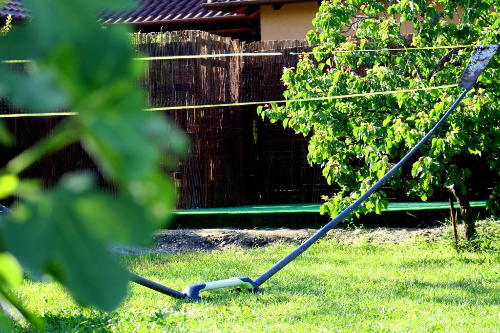 Zahrada ubytování Friends & Family Apartmanok Velence