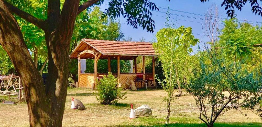 a small house with three cats sitting in front of it at Camping Kromidovo in Kromidovo
