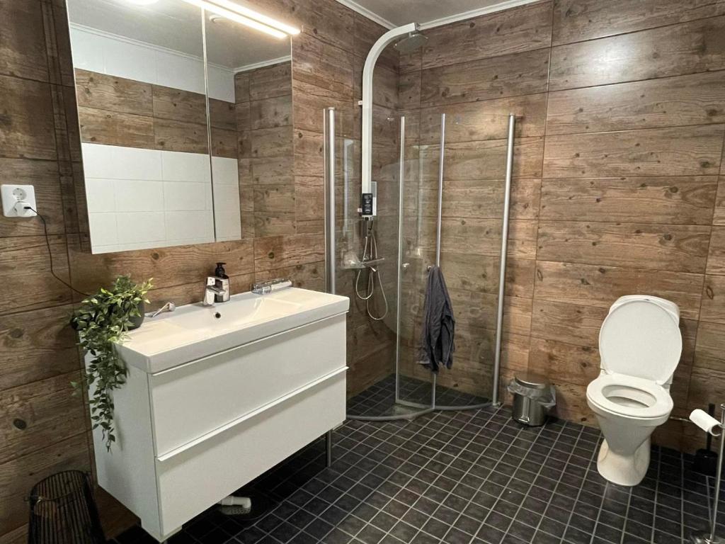 a bathroom with a toilet and a sink and a shower at Torggatan 54 in Mariehamn