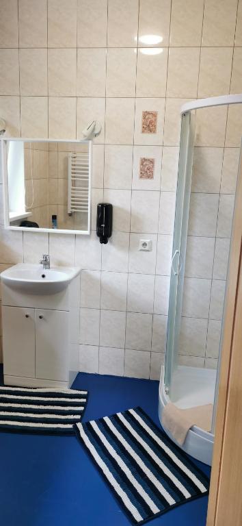 Koupelna v ubytování Green Gile Villa in Druskininkai Center