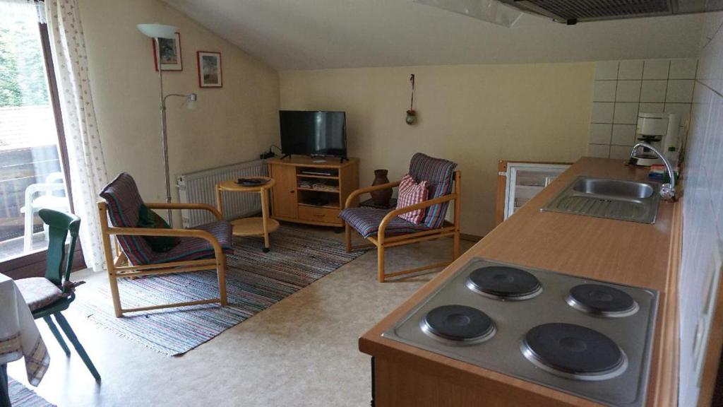 TV a/nebo společenská místnost v ubytování Gästehaus Buchinger