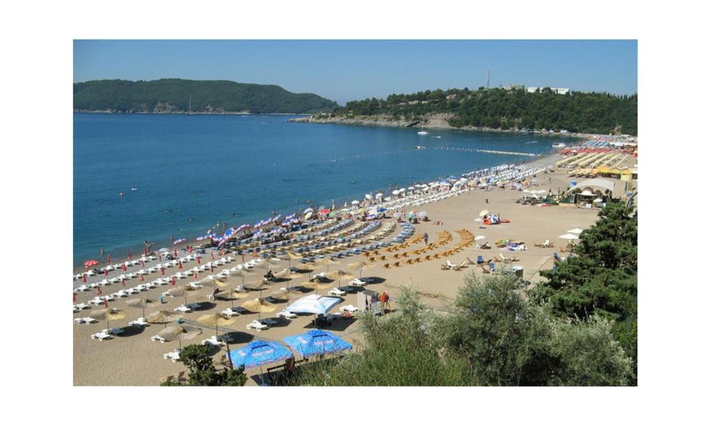 Příroda nedaleko apartmánu