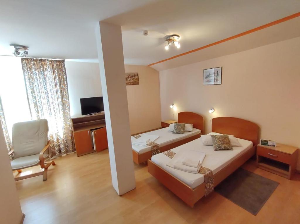Pensiunea Elena - Standard Twin Room