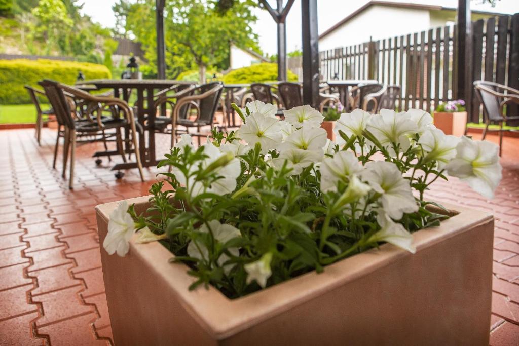 Zahrada ubytování Hotel El Greco