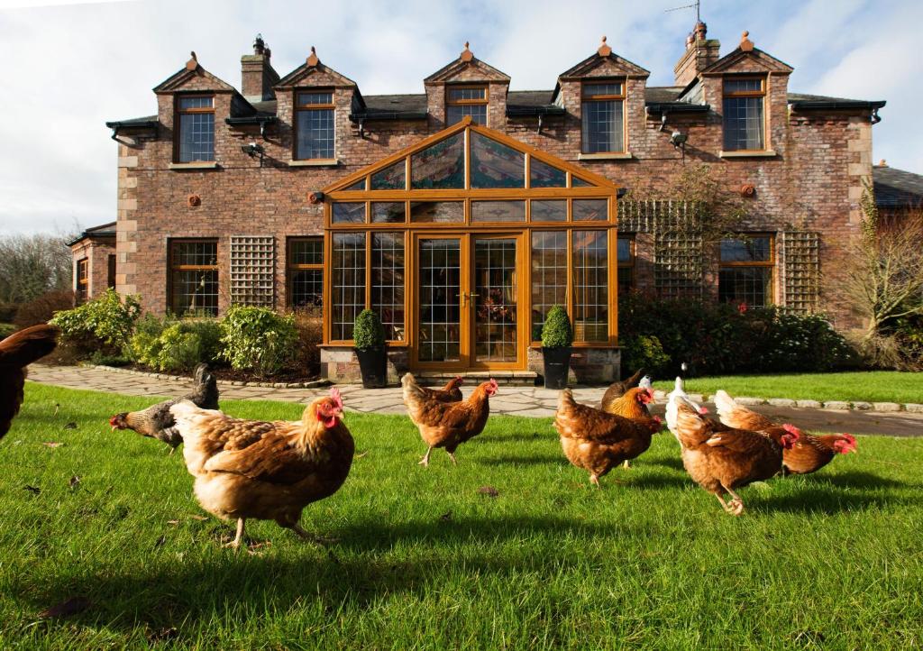 a group of chickens running in front of a house at Blackwell House in Banbridge