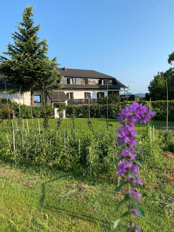 Hotel Pohorje - Resim 36