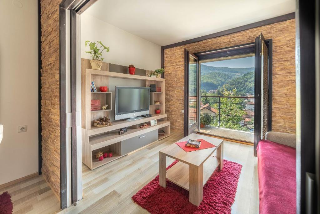 TV a/nebo společenská místnost v ubytování Apartments Vidik
