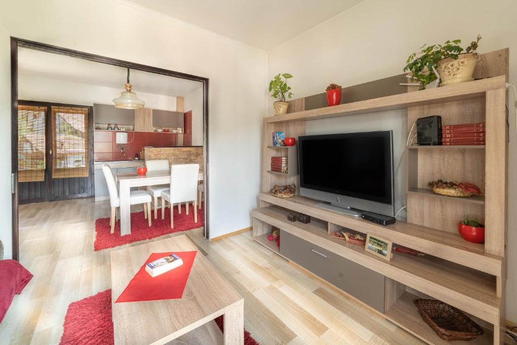 TV a/nebo společenská místnost v ubytování Apartments Vidik
