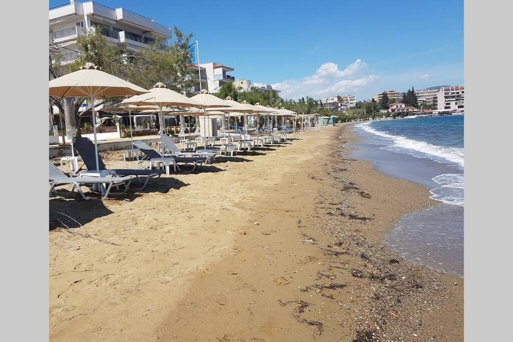 a beach with chairs and umbrellas and the ocean at Garden Lefkanti, 4season Plaza Room in Lefkandi Chalkidas