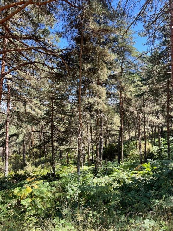 Príroda v okolí apartmánu