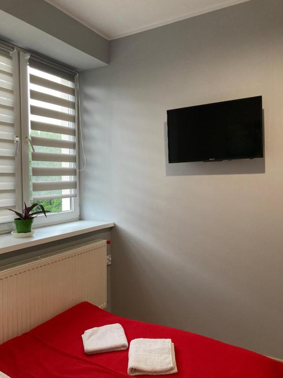 TV a/nebo společenská místnost v ubytování Hostel Karpacki Szymon Szczepan