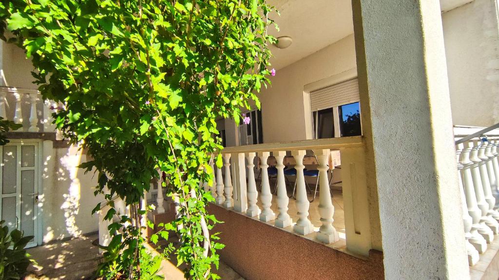 Fotografie z fotogalerie ubytování Apartment Amigo v destinaci Seline