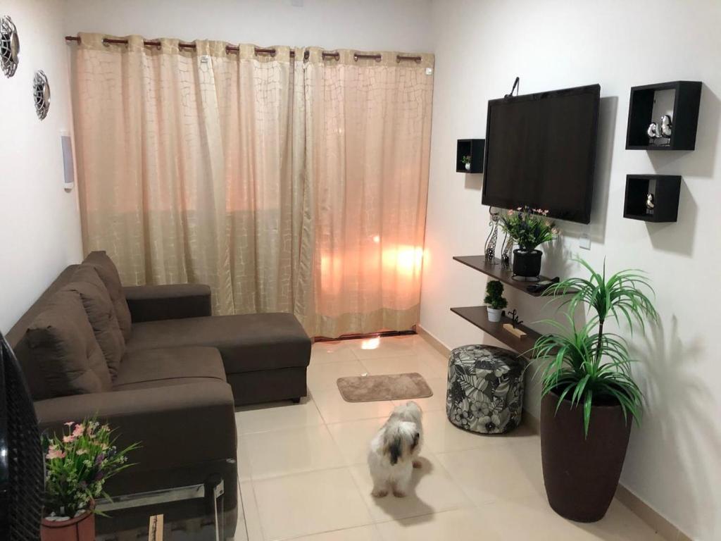 ein Wohnzimmer mit einem Sofa und einer Katze darin in der Unterkunft GREAT HOUSE in Manaus