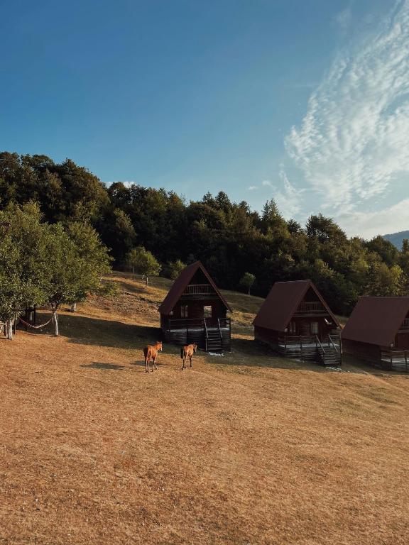 Etno Village Vojnik - 14