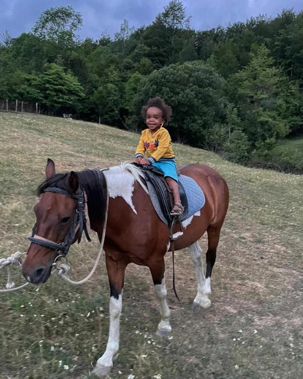 Etno Village Vojnik - 12