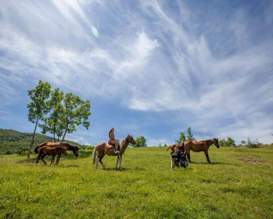 Etno Village Vojnik - 10