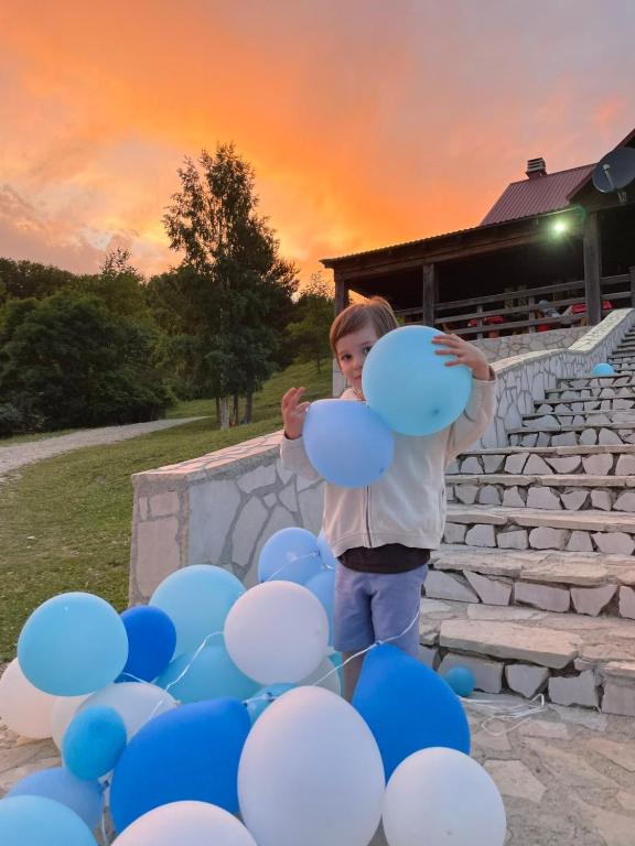 Etno Village Vojnik - 9