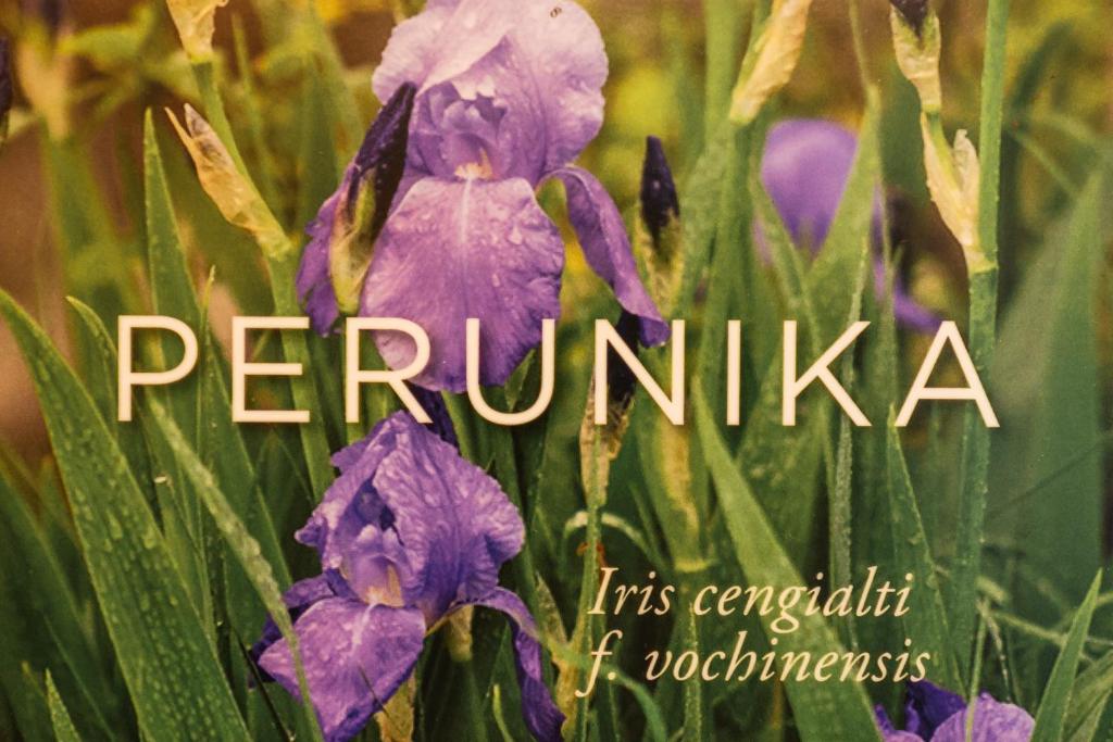 Fotografie z fotogalerie ubytování Apartmaji Alpski cvet - Hiša Gorenc v destinaci Bohinj