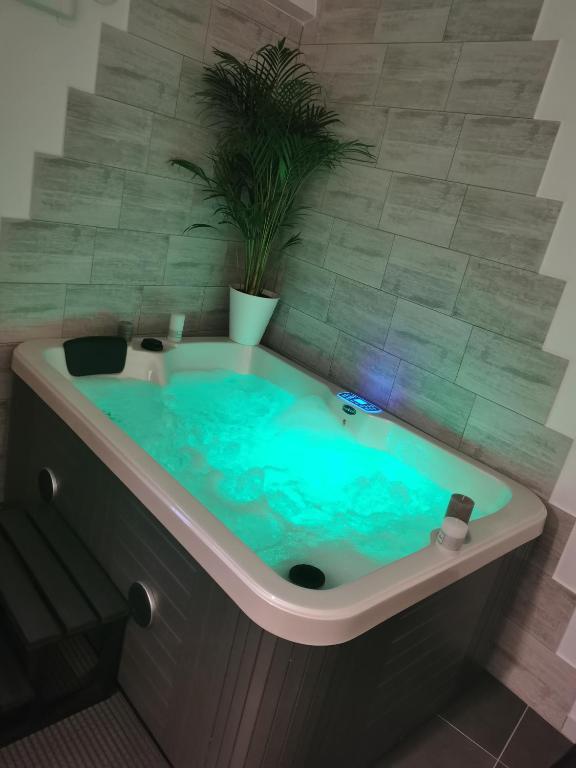 eine Whirlpool-Badewanne mit Pflanze im Bad in der Unterkunft Jacuhomespa13 in Vitrolles