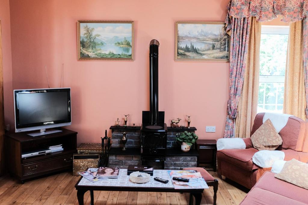 a living room with a couch and a tv at Glenhill B&B in Wexford