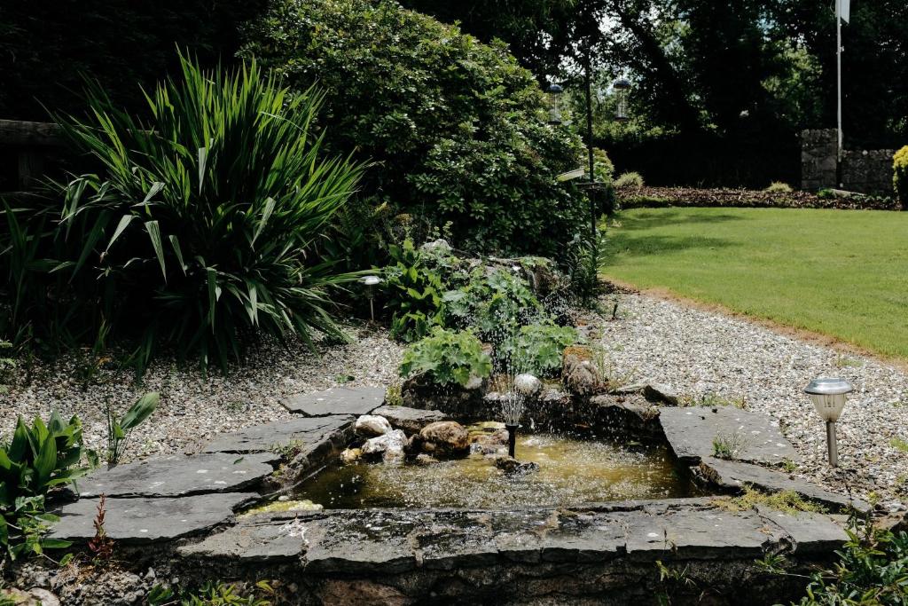 a garden with a bird bath in the middle of a yard at Glenhill B&B in Wexford