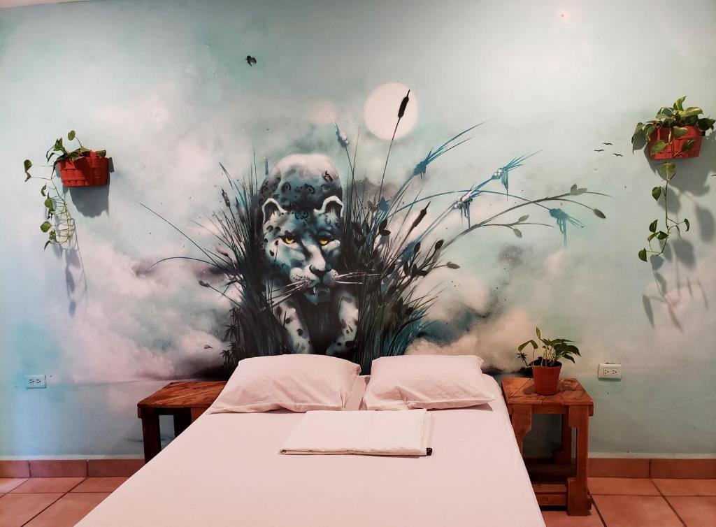 Tres Mundos Hostel photo