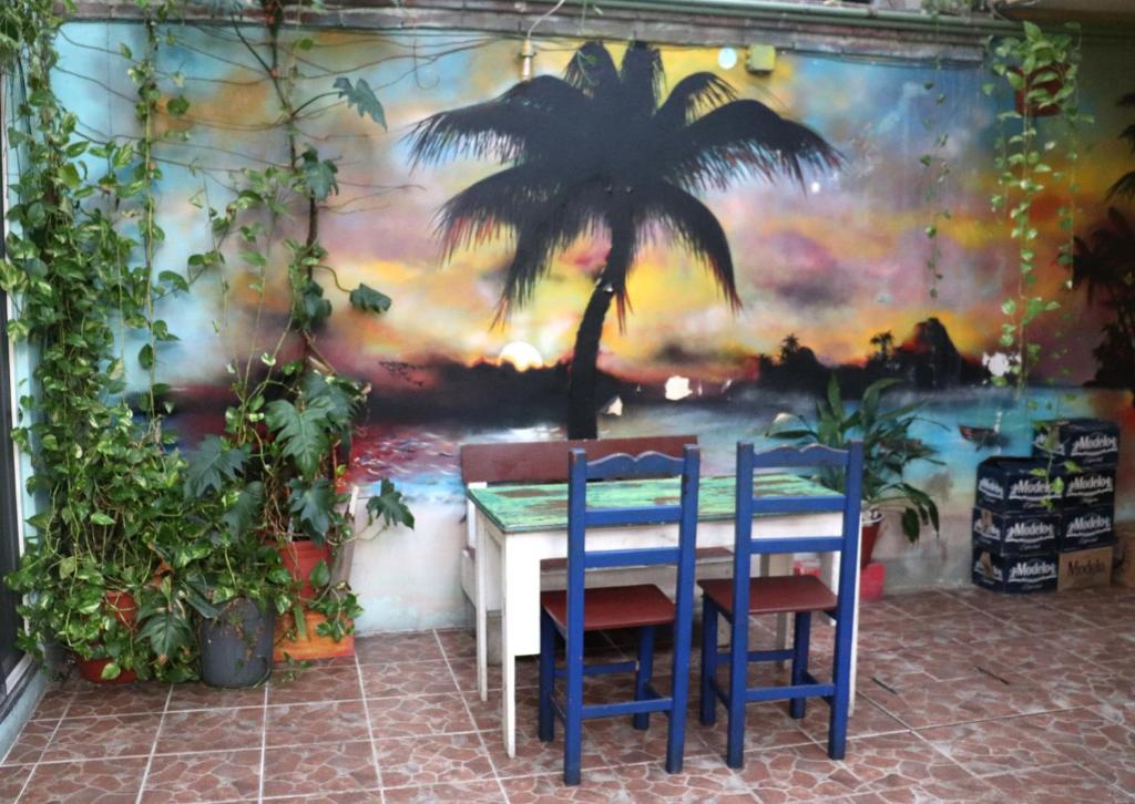 Tres Mundos Hostel photo