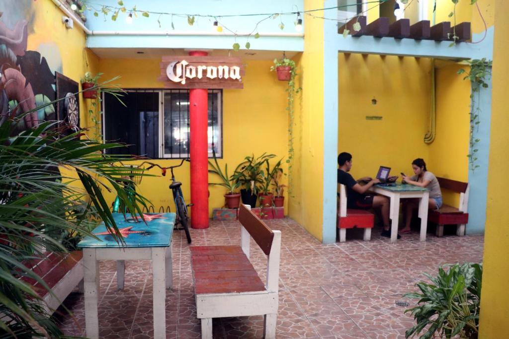 Tres Mundos Hostel photo