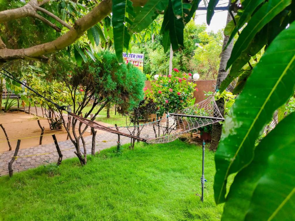 un jardín con una red en la hierba en Lobster Inn en Trincomalee