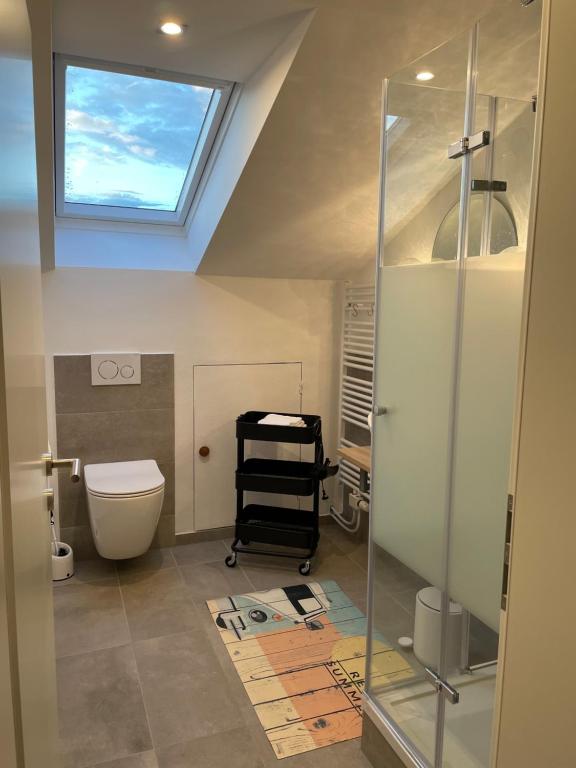 a bathroom with a toilet and a skylight at Roof Heaven Ferienwohnung in Blaichach