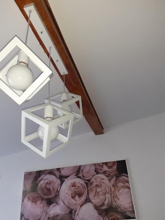 Fotografie z fotogalerie ubytování Flora Novi Sad v destinaci Novi Sad