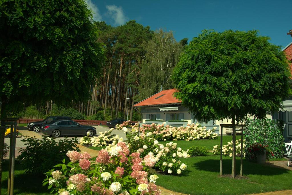 un jardin de fleurs blanches devant un bâtiment dans l'établissement Preilos Perliukas, à Preila