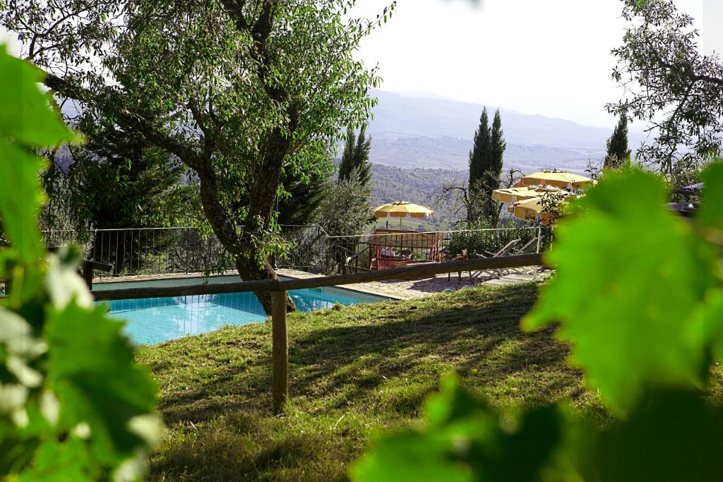 Bazén v ubytování Podere Palazzolo (ADULTS ONLY) nebo v jeho okolí