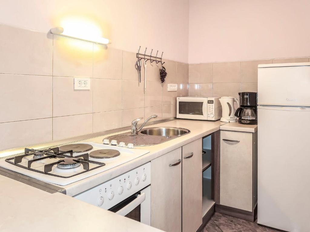 Kuchyň nebo kuchyňský kout v ubytování Apartment Manestar-2 by Interhome
