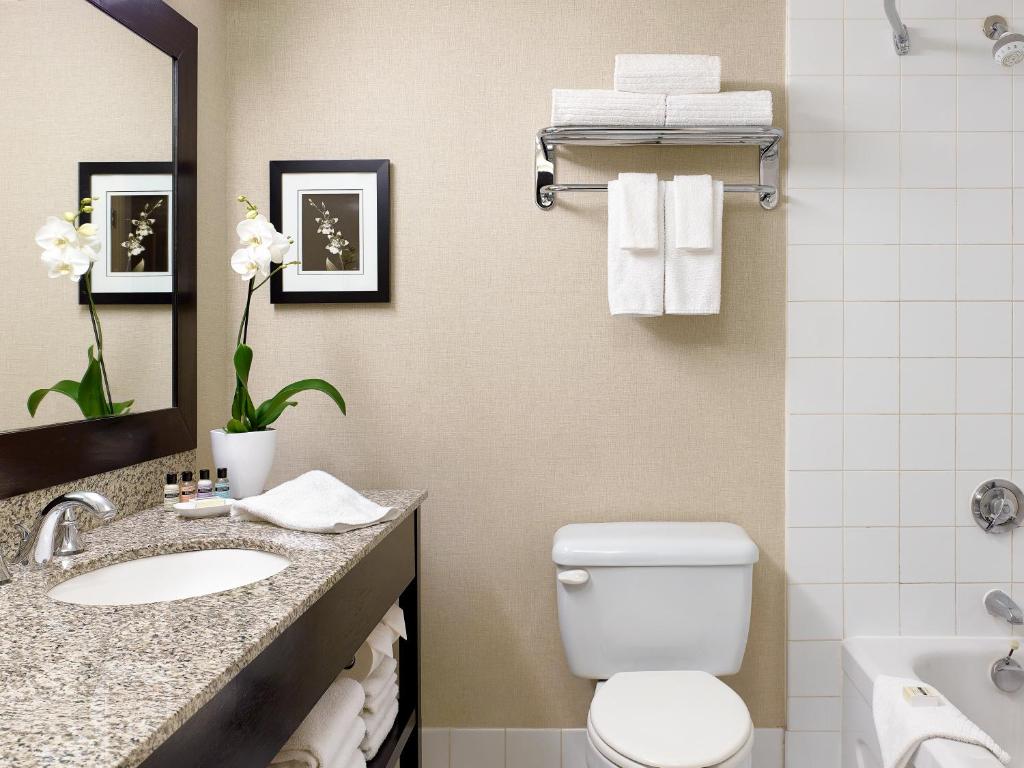 Chelsea Hotel Toronto - Deluxe Double Room With Two Double Beds