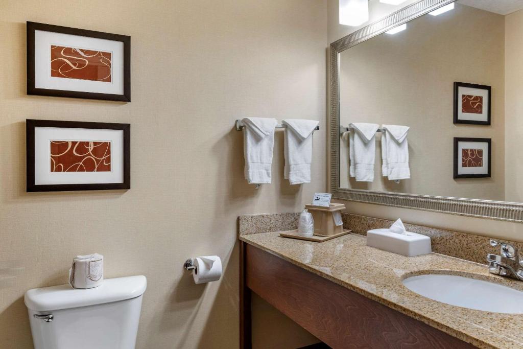 Comfort Suites Linn County Fairground and Expo photo