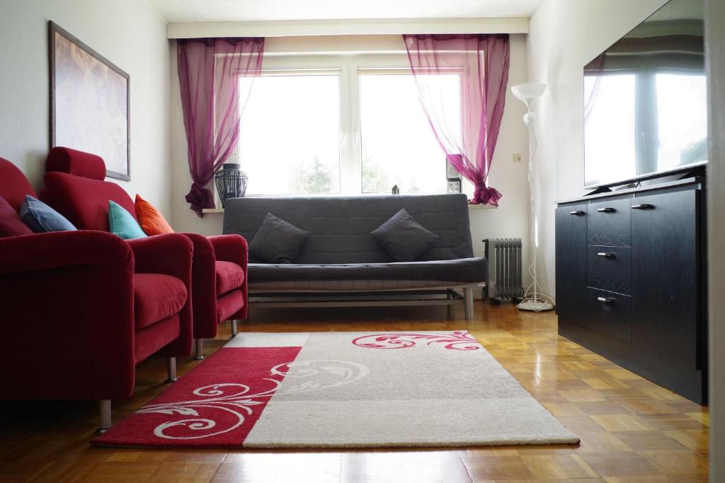 a living room with a couch and a red rug at Ferienwohnung Schuur - Harz in Hasselfelde